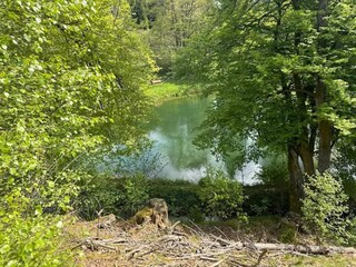 Apartment Winterberg Environment 28