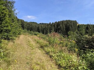 Apartment Winterberg Environment 39