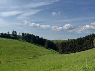 Apartment Winterberg Environment 25