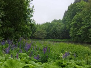 Apartment Winterberg Umgebung 23
