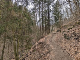 Appartement Winterberg Omgeving 39