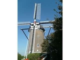 Casa per le vacanze Bruinisse Ambiente 19