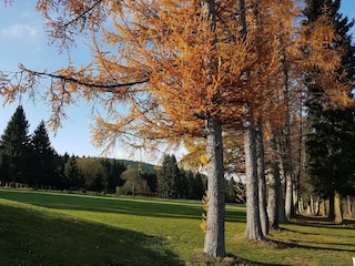 Appartement Winterberg Omgeving 40