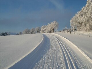 Appartamento Winterberg Ambiente 25