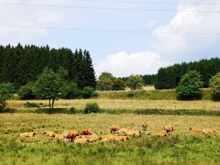 Appartamento Winterberg Ambiente 31