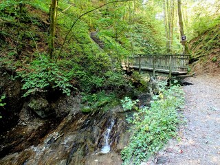 Appartamento Winterberg Ambiente 21