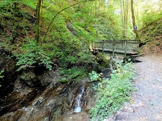 Apartment Winterberg Environment 27