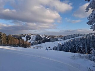 Appartement Winterberg Omgeving 23