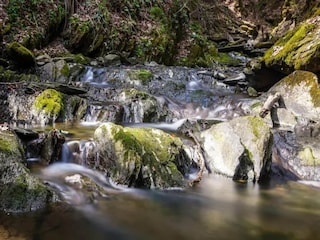 Apartment Winterberg Environment 30