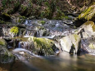 Appartement Winterberg Omgeving 30