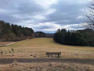 Apartment Winterberg Environment 35