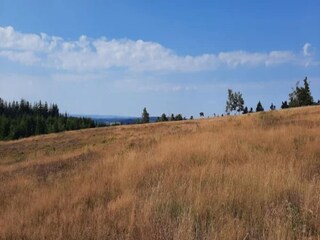 Apartment Winterberg Environment 37