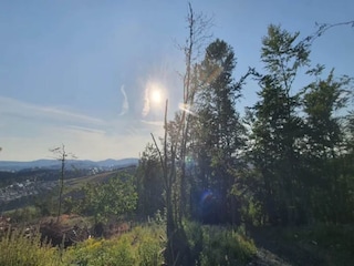 Apartment Winterberg Environment 14