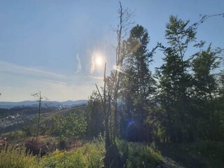 Appartement Winterberg Omgeving 33