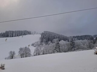 Appartement Winterberg Omgeving 24