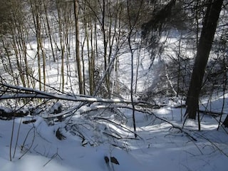 Apartment Winterberg Environment 15