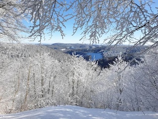 Apartment Winterberg Environment 31