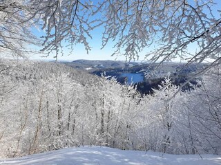 Appartement Winterberg Omgeving 31
