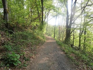 Appartement Winterberg Omgeving 25