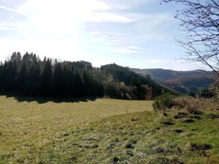 Apartment Winterberg Environment 37