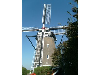 Casa per le vacanze Bruinisse Ambiente 19