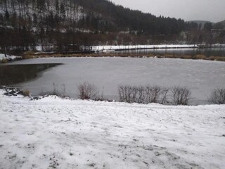 Apartment Olsberg Environment 23