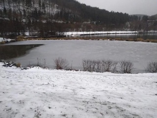 Apartment Olsberg Umgebung 23