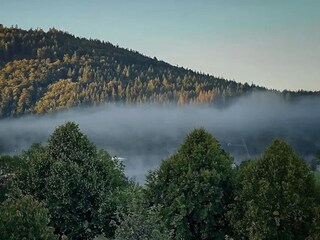 Appartement Olsberg Omgeving 25