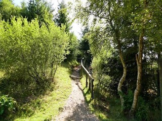 Apartment Olsberg Environment 32