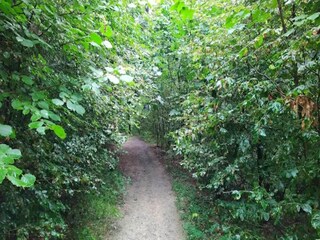 Apartment Winterberg Umgebung 19