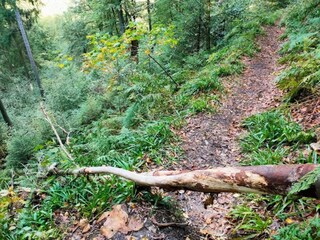 Apartment Winterberg Umgebung 27