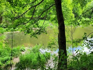 Apartment Winterberg Umgebung 38