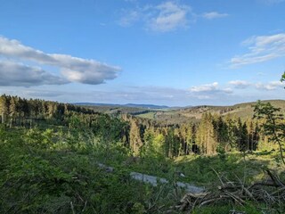 Apartment Winterberg Environment 40