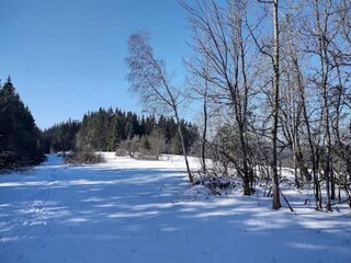 Apartment Winterberg Environment 23