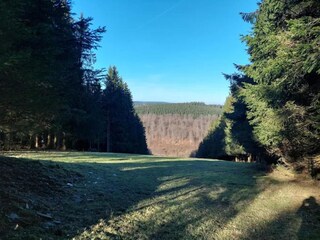 Appartement Winterberg Omgeving 30