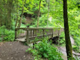 Apartment Winterberg Environment 31