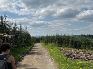 Appartamento Winterberg Ambiente 27