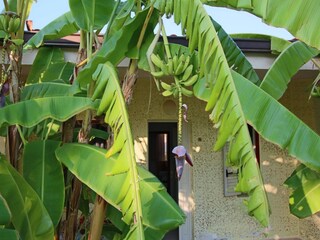 Apartment Ricadi Außenaufnahme 7