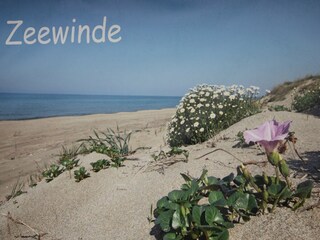 Vakantiehuis Renesse  29