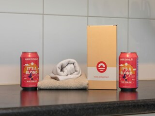 Ferienhaus Renesse  8