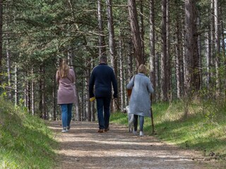 Casa per le vacanze Renesse Ambiente 38