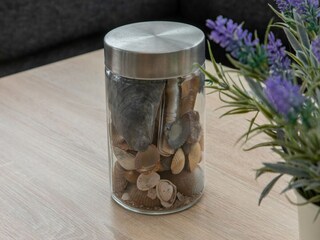 Vakantiehuis Renesse  12