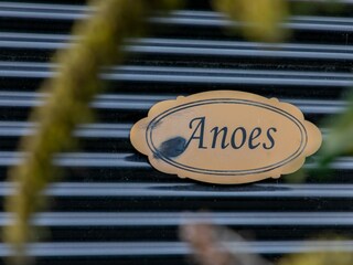 Holiday house Renesse  31