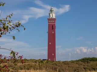 Ferienhaus Renesse Umgebung 39