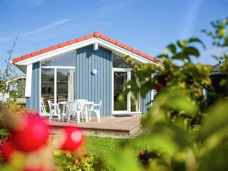 Holiday house Friedrichskoog Outdoor Recording 7