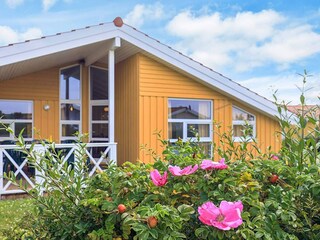 Ferienhaus Friedrichskoog Außenaufnahme 8