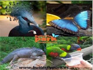 Apartamento Roses  49