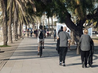 Apartamento Roses Entorno 44