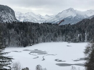 Unser Freibergsee im Winter