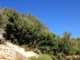 Apartment Prizba  11